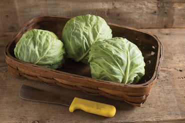 Tiara – Cabbage Seed