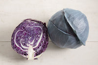 Omero – Cabbage Seed