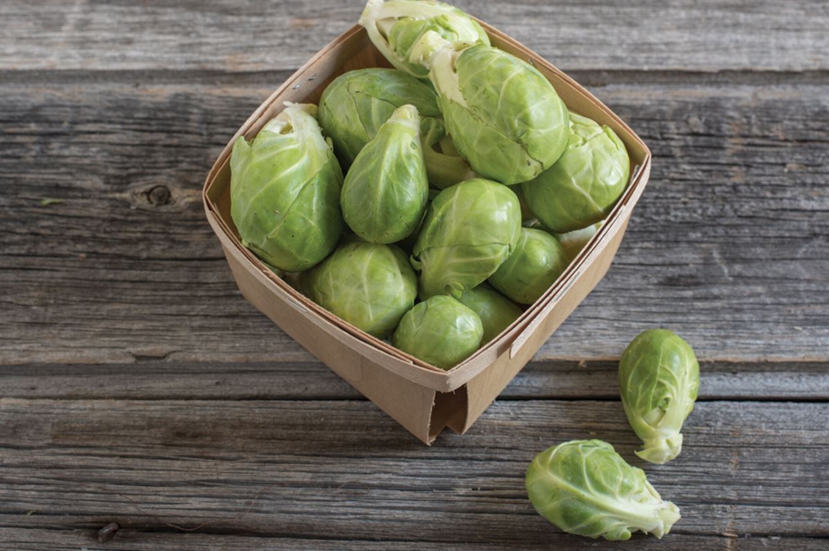 Dagan – Brussels Sprout Seed