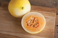 Honey Blonde – Melon Seed