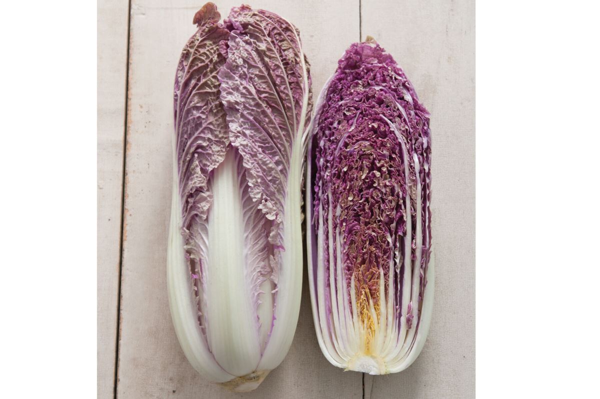 Red Dragon – Chinese Cabbage Seed
