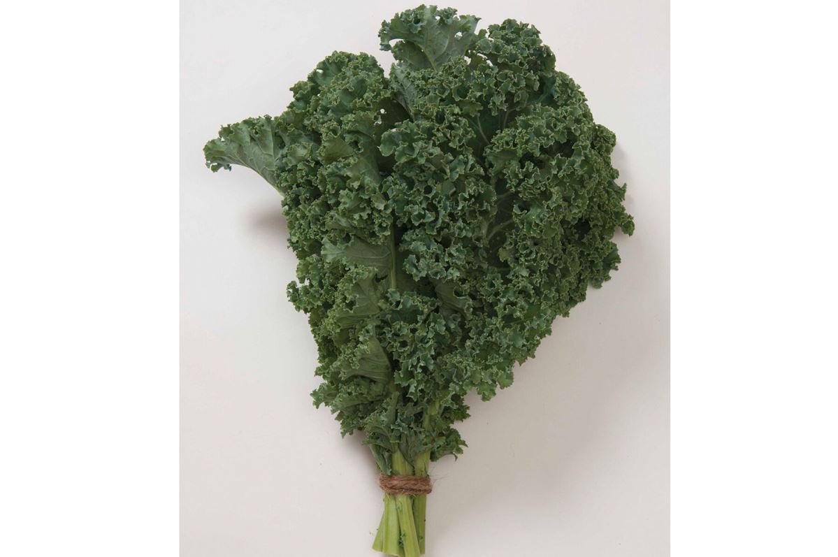 Winterbor – Kale Seed