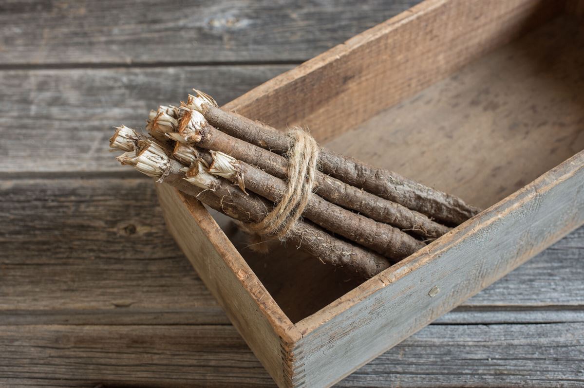 Enorma – Organic Scorzonera Seed