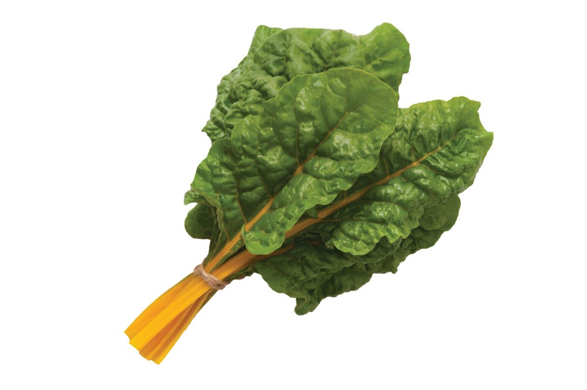 Orange Ribbed – Organic Swiss Chard Seed