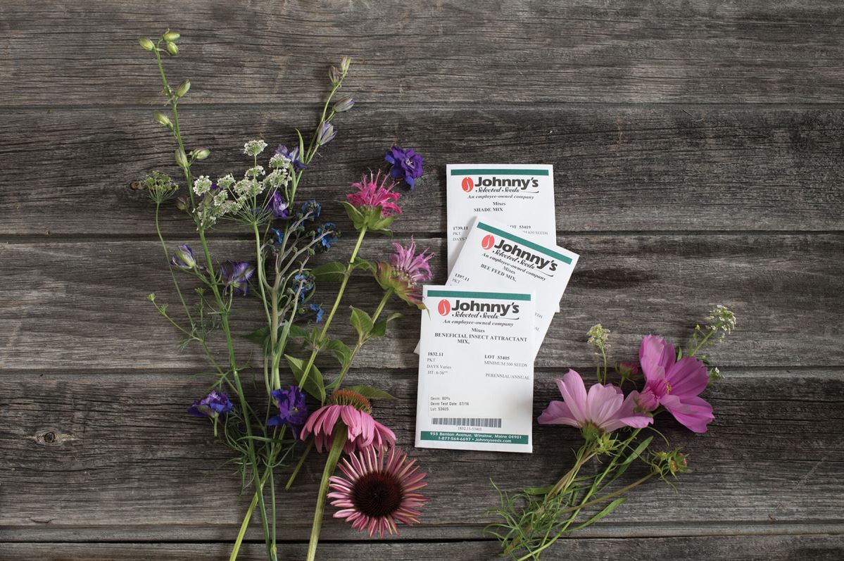 Flower Mix Collection – Flower Seed