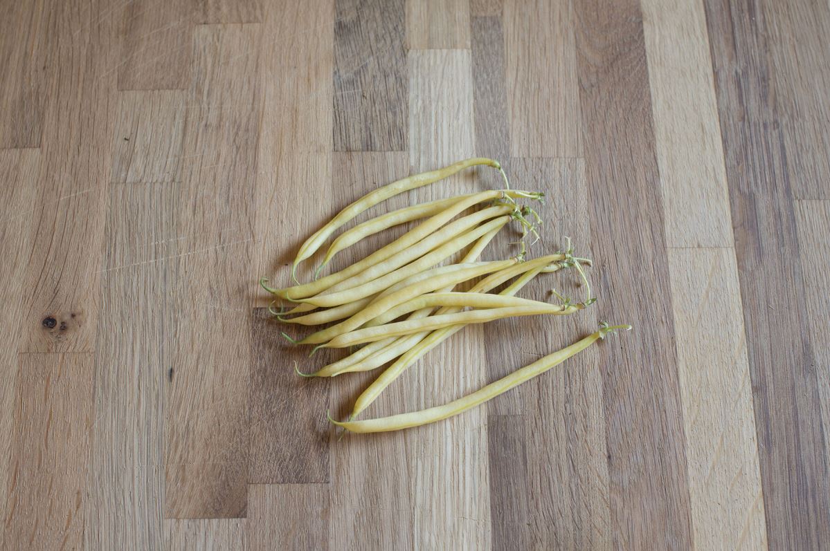 Pauldor – Bean Seed