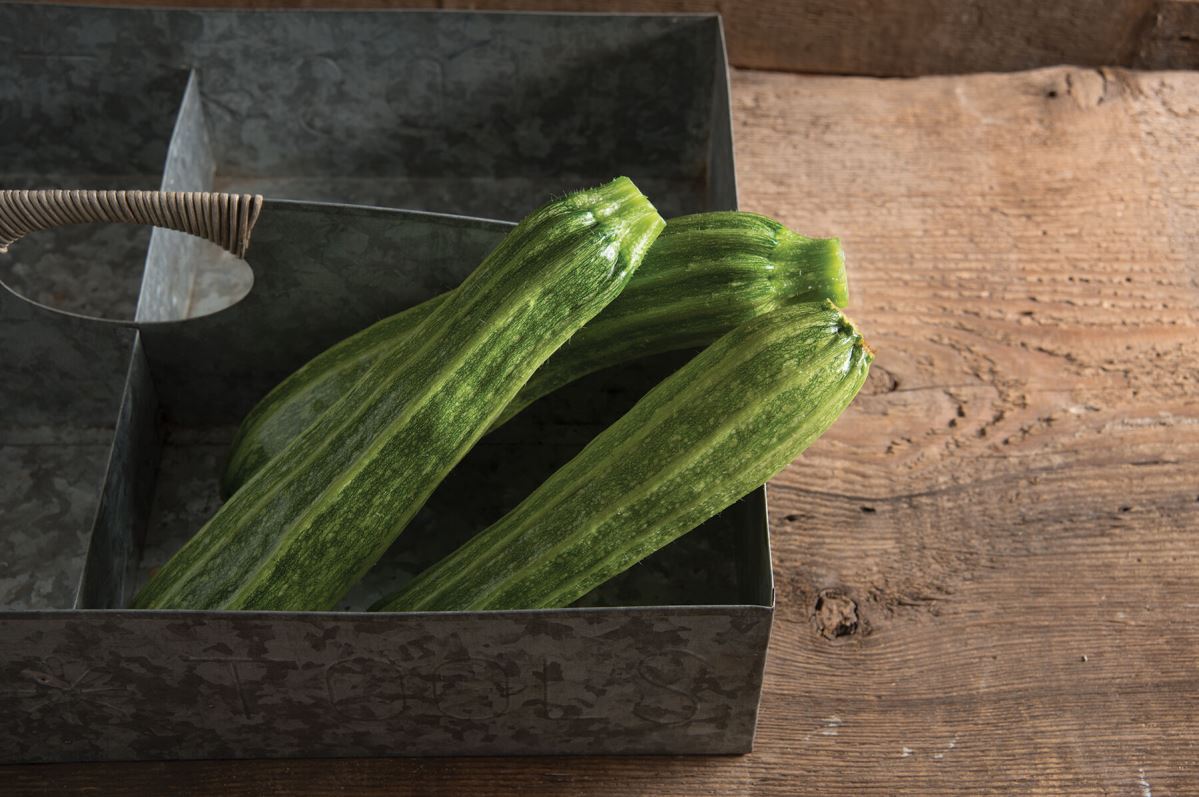 Flaminio – Zucchini Squash Seed