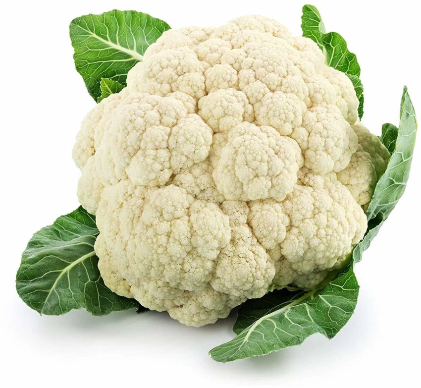 Paxton – Cauliflower Seed