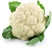 Paxton – Cauliflower Seed
