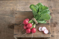 Celesta – Organic Radish Seed