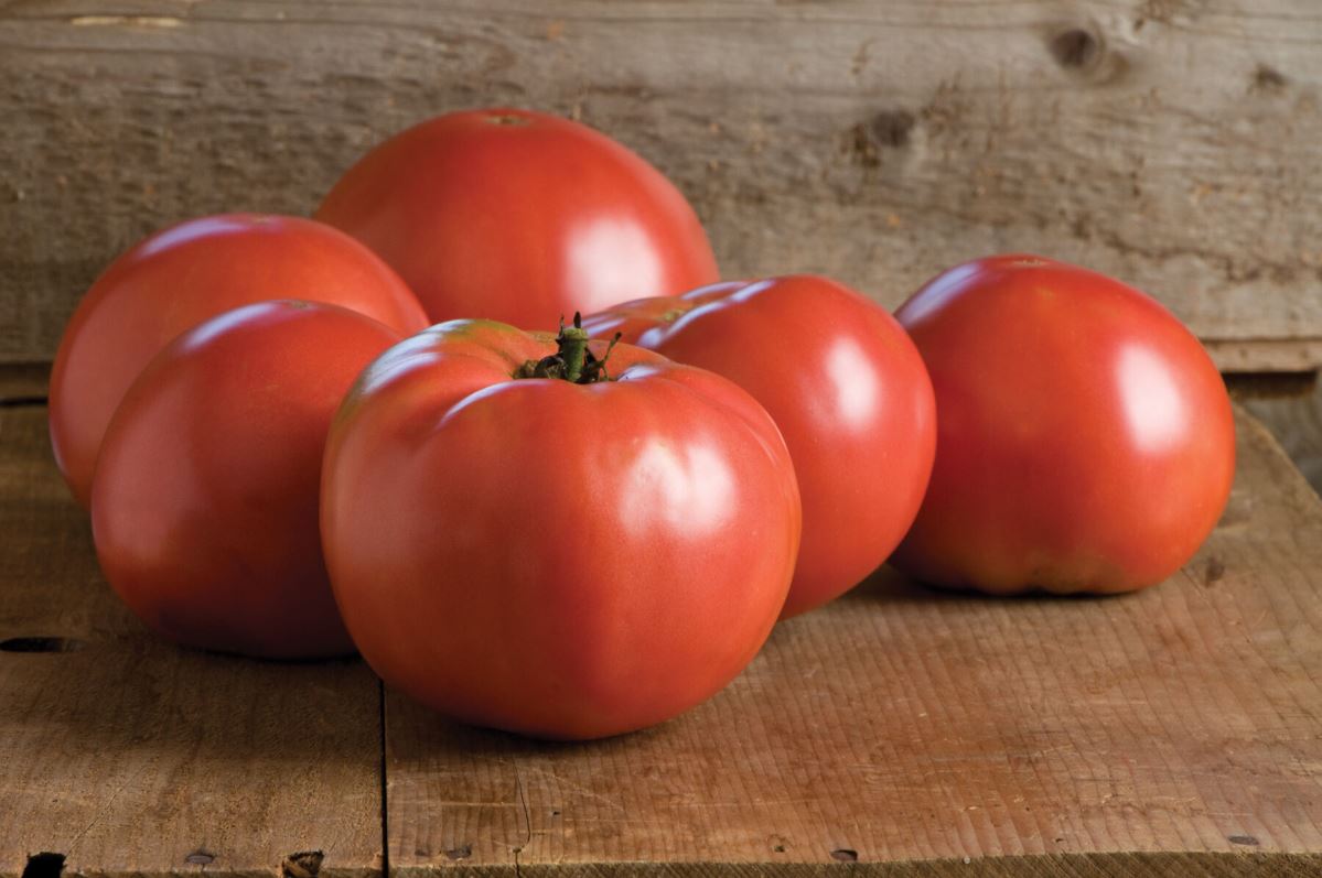 Martha Washington – Organic Tomato Seed
