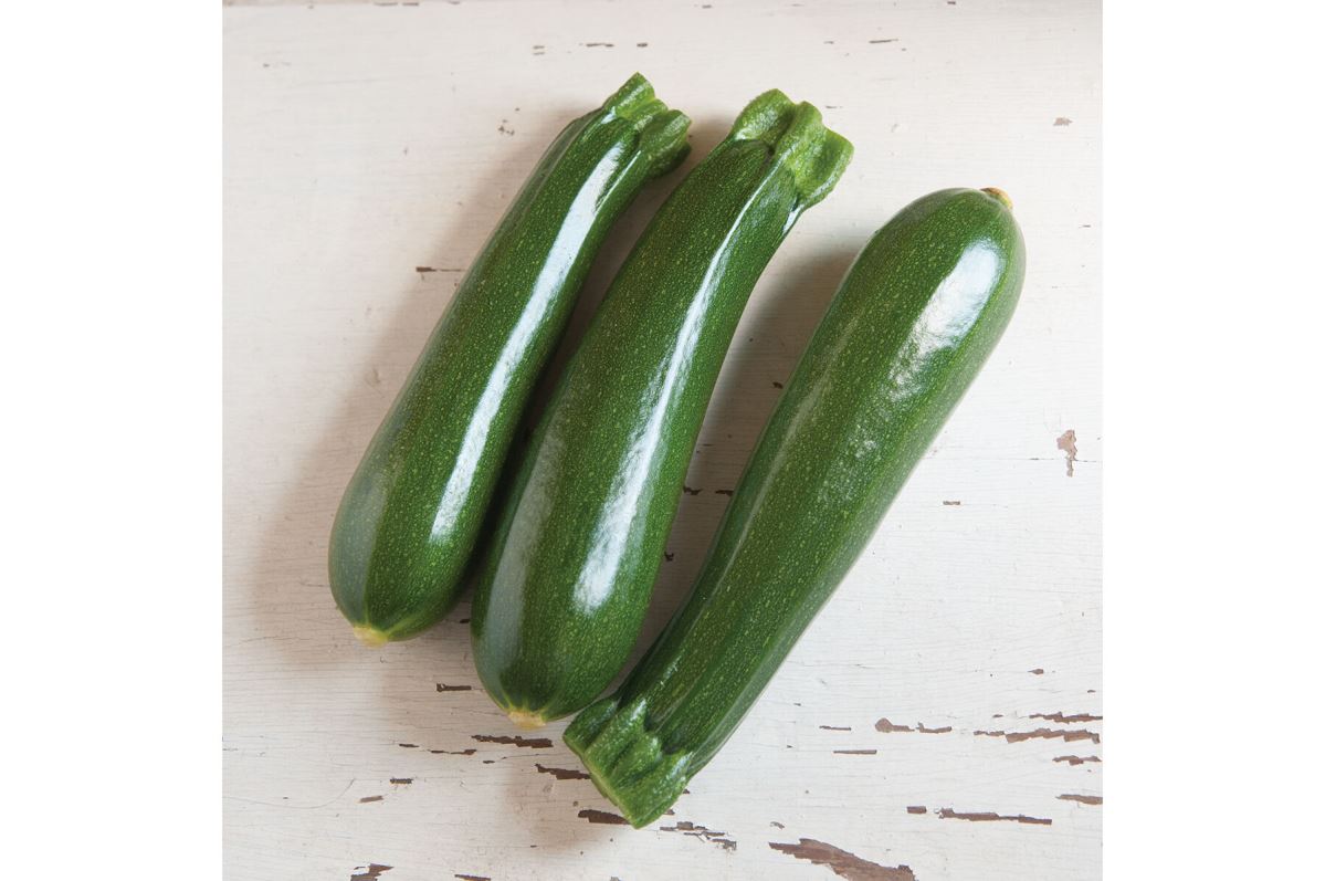 Dunja – Organic Zucchini Squash Seed