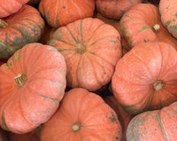 Pumpkin- Moranga 25g