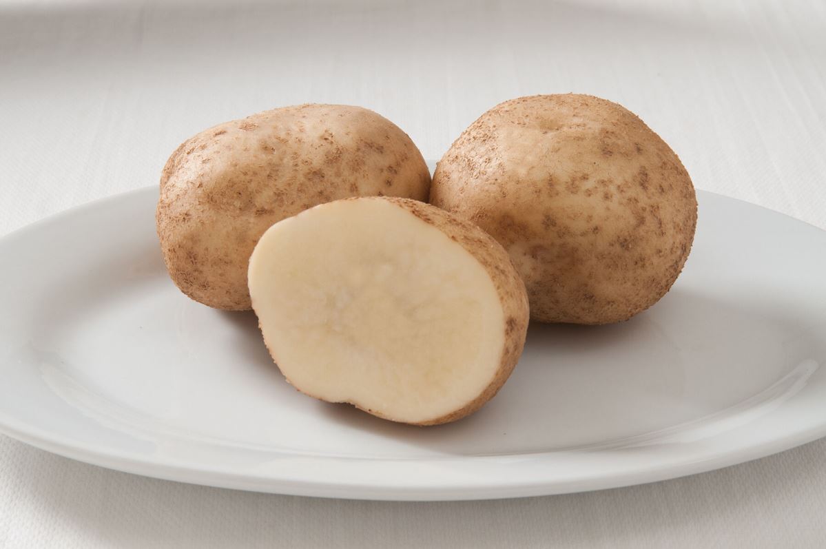 Elba – Organic Seed Potatoes