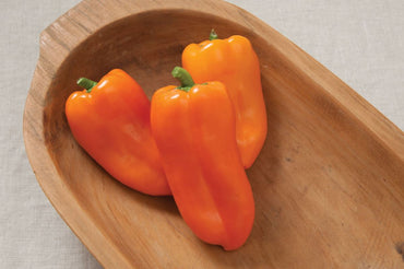 Glow – Organic Pepper Seed