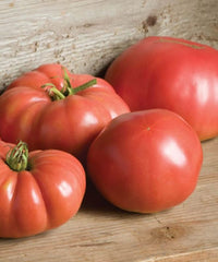 Margold/Estamino Organic Tomato Seed