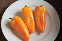 Cornito Giallo – Organic Corno di Toro Pepper Seed