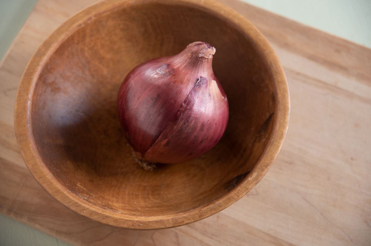 Red Rock – Onion Seed