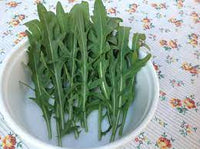 Sylvetta – Organic Arugula Seed