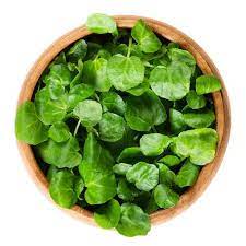 Watercress Seeds | 100% Guaranteed