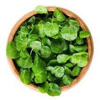 Watercress Seeds | 100% Guaranteed
