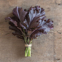 Miz America – Asian Green Seed