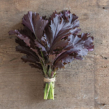 Miz America – Asian Green Seed