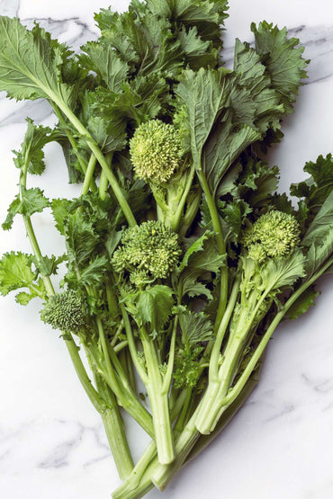 Rapini