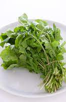 Esmee – Organic Arugula Seed