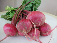 Scarlet Queen Red Stems – Turnip Seed