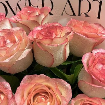 Elsa Pink Rose Flower Seeds