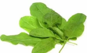 Sorrel – Organic Green Seed