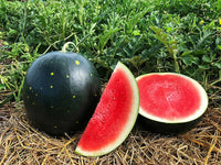 Black Watermelon Fruit Seeds for Garden Cultivation 100 pcs