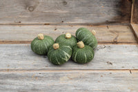 Sweet Jade – Organic Kabocha Squash Seed