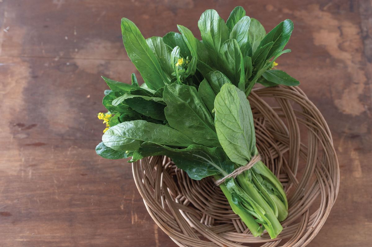 Green 70 D Improved – Choy Sum Seeds