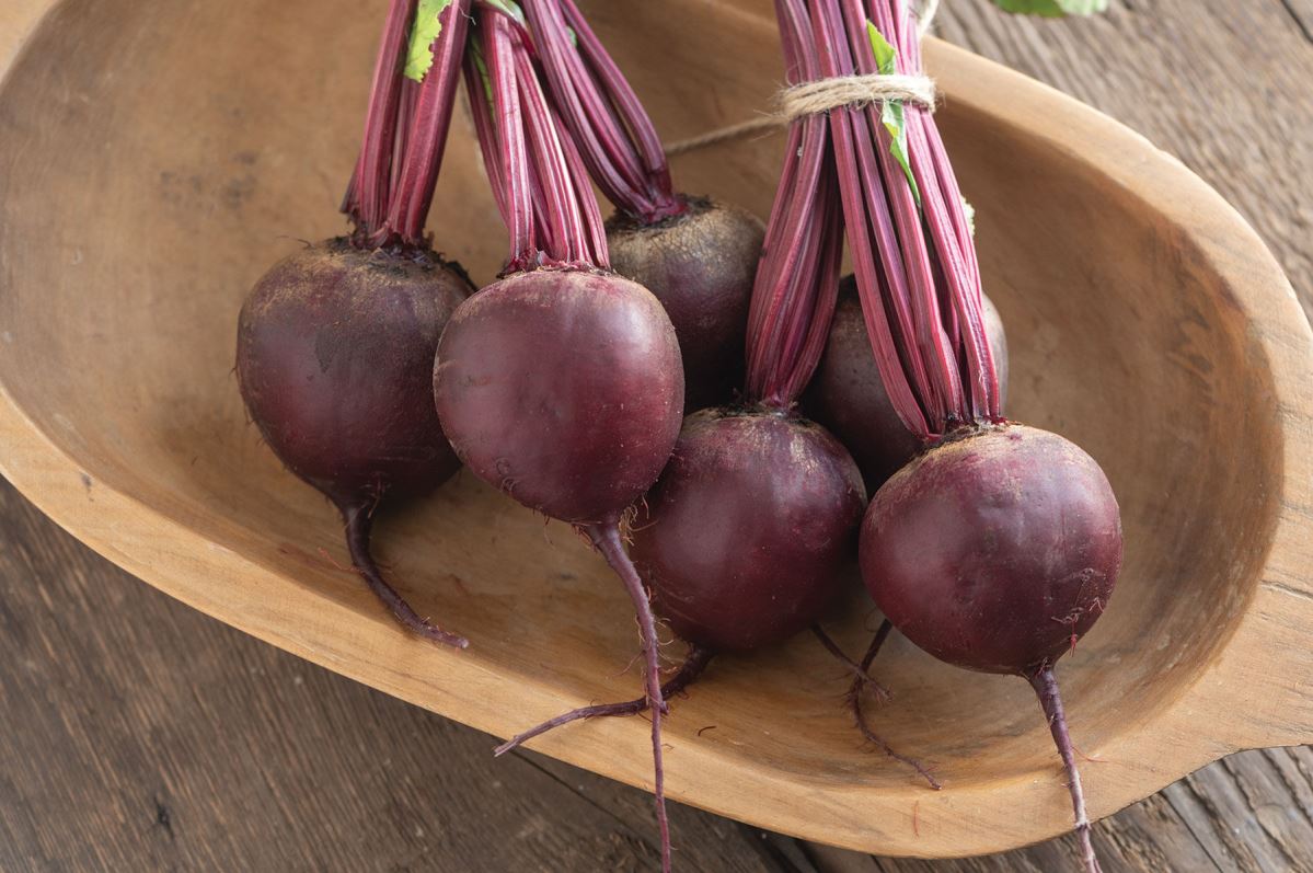Subeto – Organic Beet Seed