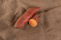 Covington – Organic Sweet Potato Seeds