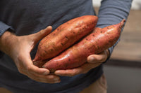 Covington – Organic Sweet Potato Seeds