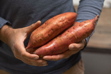 Covington – Organic Sweet Potato Seeds