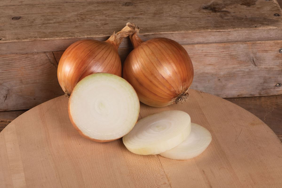 Talon – Organic Onion Seed