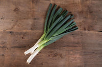Comanche – Organic Leek Seed