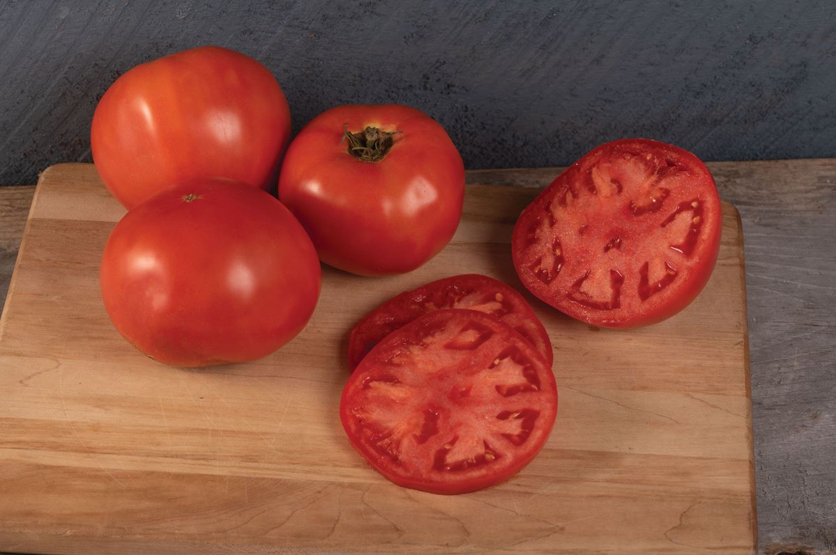 Galahad – Organic Tomato Seed
