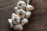 Inchelium Red – Organic Garlic s