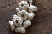 Inchelium Red – Garlic s