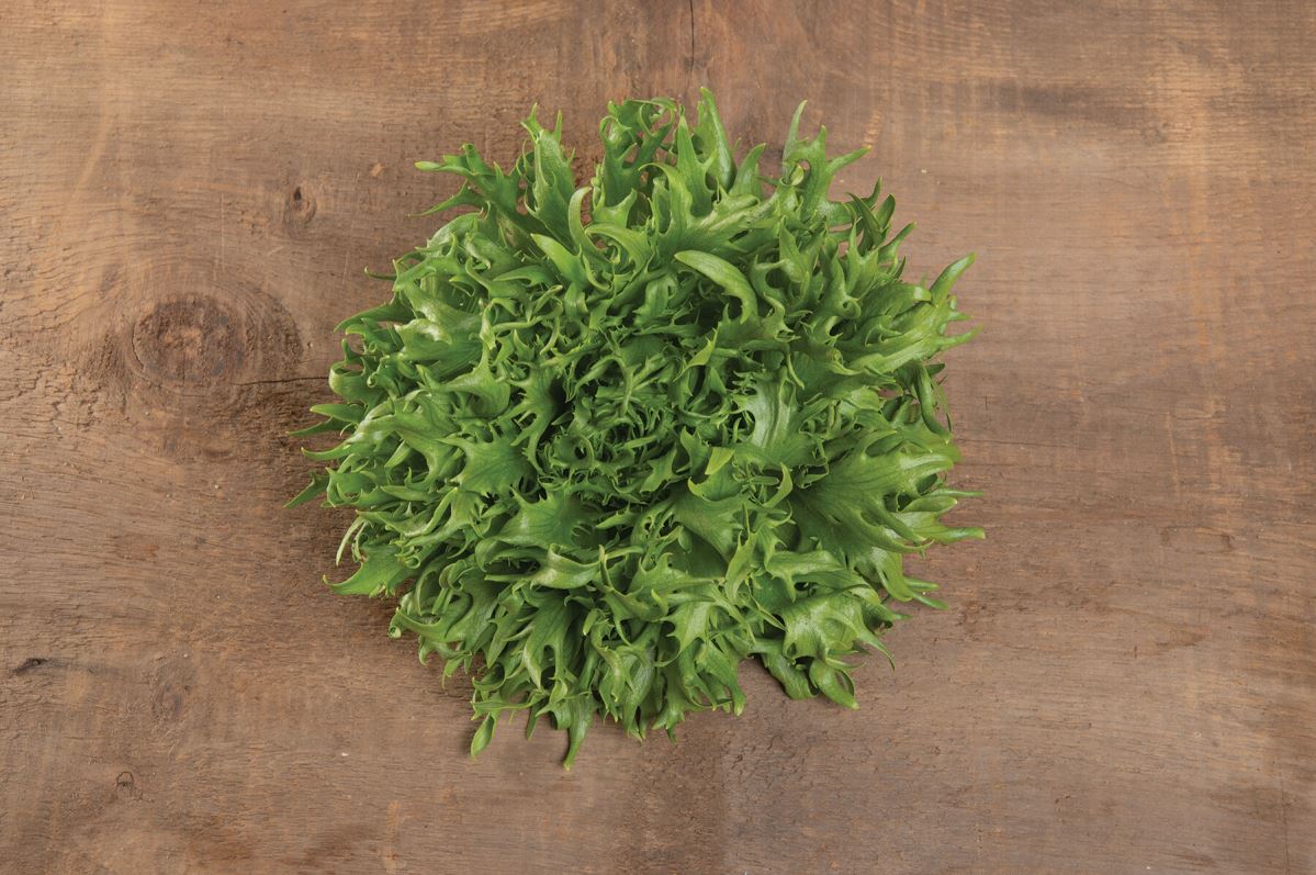 Frisygo – Lettuce Seed