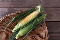 Seminole Sweet XR – Corn Seed