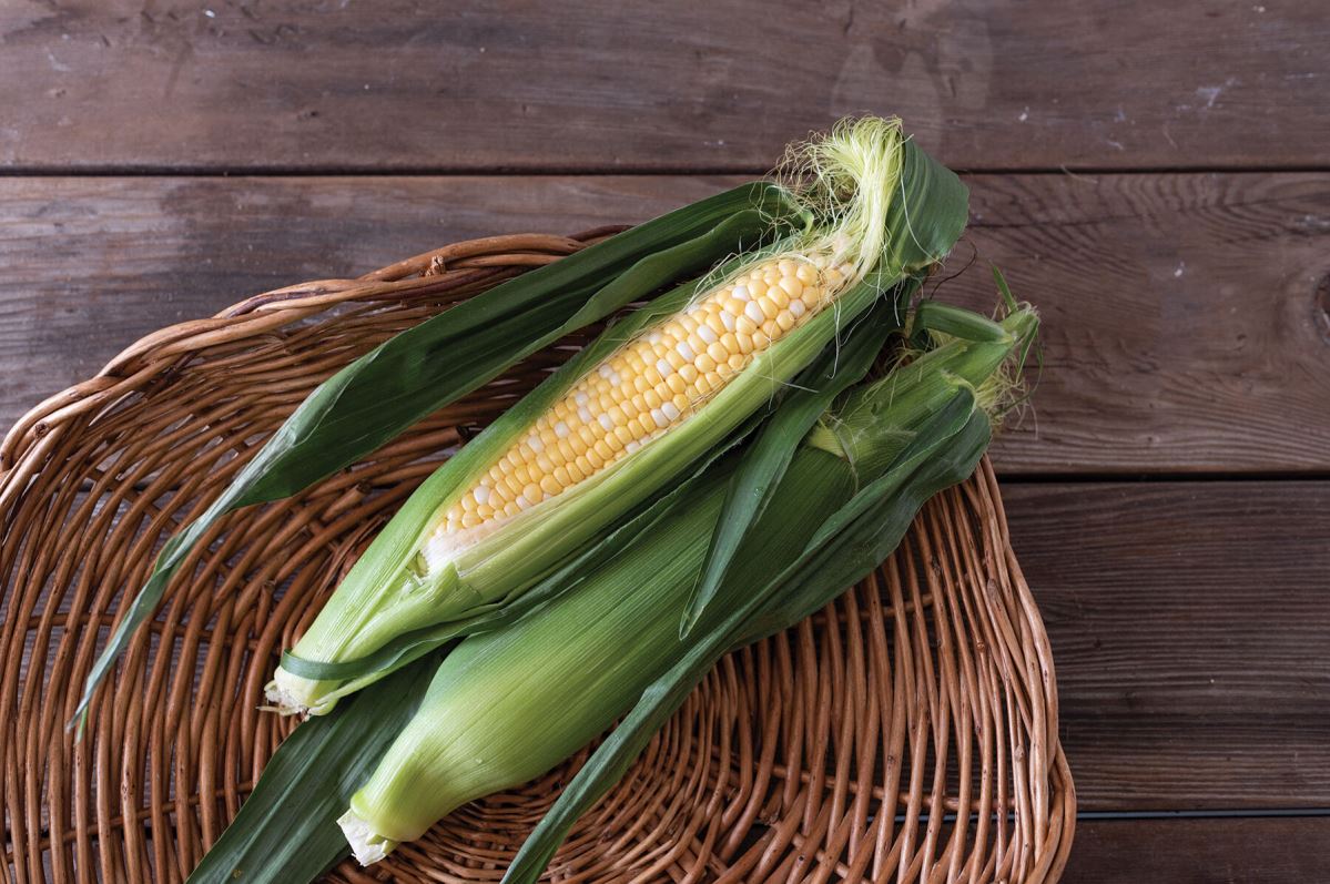 Seminole Sweet XR – Corn Seed