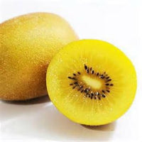 Golden Kiwi Fruit Seeds for Planting - A Sweet and Nutrient-Rich Kiwi for Your Garden