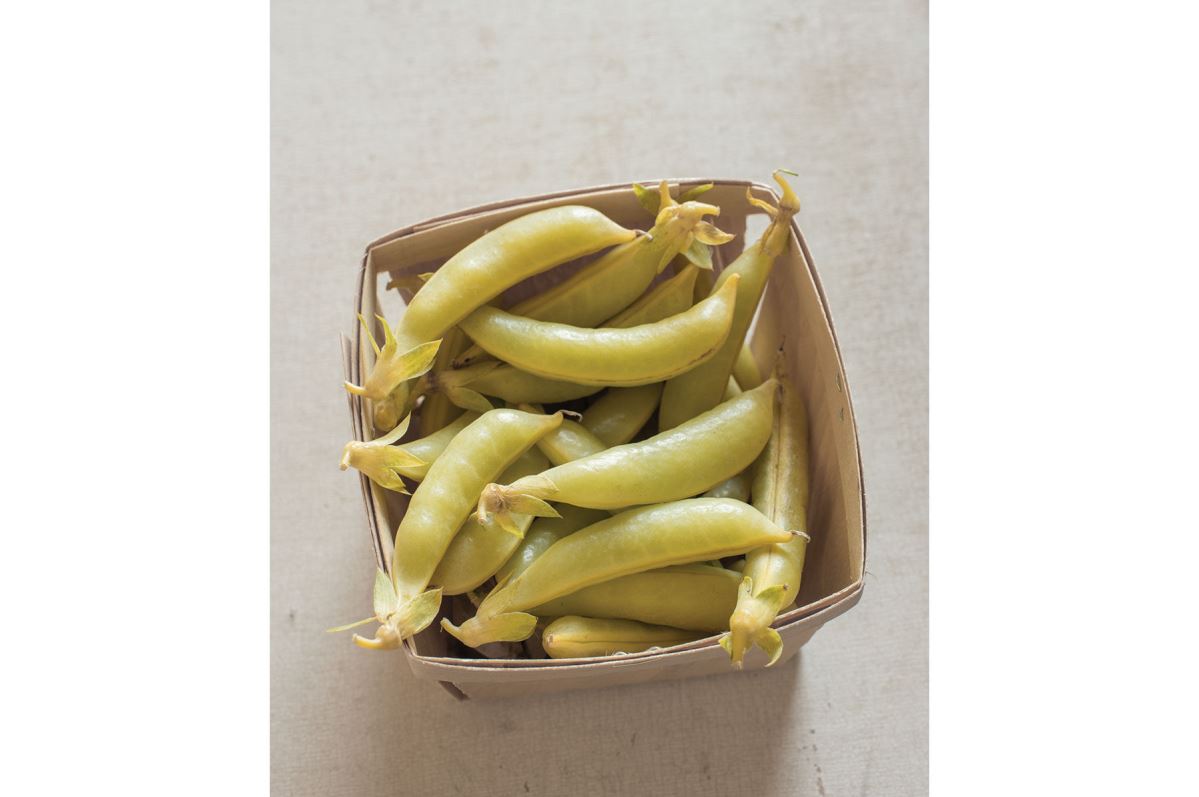 Honey Snap – Golden Yellow Snap Pea Seeds