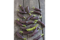 Royal Snap II – Purple Pea Seeds